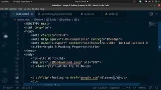 Margin & Padding property with a Tip of JavaScript