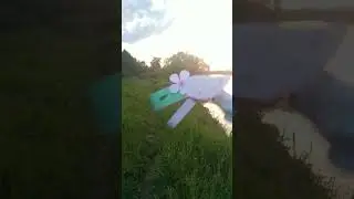 закат ⁠♡ новый дракон🐲