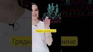 Грядки на дернине #огород #пермакультура #дача