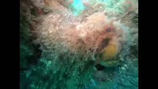 Scuba diving, Spain, Málaga, Into the Blue dive centre