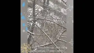 ПОЛ ГОДА ПЛОХАЯ ПОГОДА , ПОЛ ГОДА СОВСЕМ НИКУДА ( П. Смеян ) 🎶