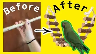 Modifying parrot stand. Стенд для попугаев  своими руками