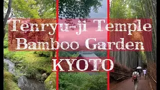 Tenryu-ji Temple & Scenic Japanese Garden and Bamboo Garden in Kyoto Japan