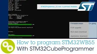 How to program a STM32WB55 with STM32CubeProgrammer