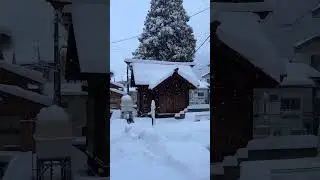 Nozawa March snow amazing