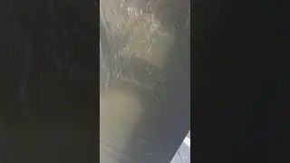 Рыбалка. Карп.