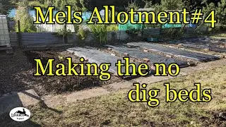 mels allotment #4 making the no dig growing beds