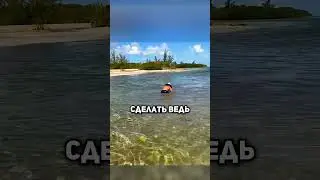 😱Поймал АКУЛУ голыми РУКАМИ...