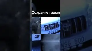 Стали SSAB. Презентация лидера в качестве стальных кровель #mobilroof #кровля #кровельныематериалы