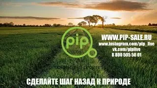 Как работают PiP средства с Пробиотиками и что такое биоплёнка?