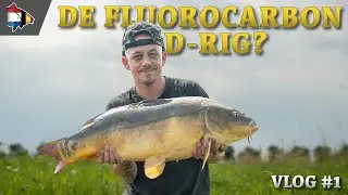 DE BESTE RIG TEGEN KREEFT?  (FLUOROCARBON D-RIG)