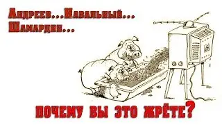 Андреев вор. Шамардин провокатор...