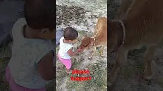 Cute boy &Cow 🐄 Baby #shorts #short