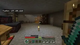 Enderman in my home