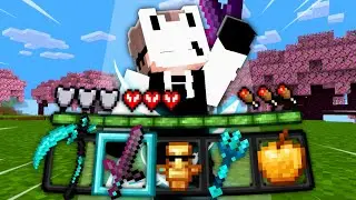 PubiXD 10k Subs Texture Pack Release | 1.20.1+