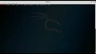 man-in-the-middle attack