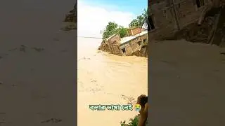 নদী ভাঙ্গনে ঘরটাও হারাতে হলো|| #shorts #flood #bangladesh