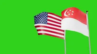 United States and Singapore Flags Waving Animation Together on  Green Screen