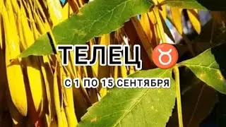 ТЕЛЕЦ ♉ таро прогноз с 1 по 15 сентября &TAURUS tarot forecast from September 1 to September 15