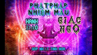 Hành Đạo Giác Ngộ - Thầy Thích Giác Thông Mới 2020 || Một Là Tất Cả,Tất Cả Là Một (Tâm Tĩnh Lặng)