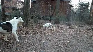 Игры поздней осенью