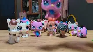 МЕГА unboxing #12 || 24 поддельных пета🙀