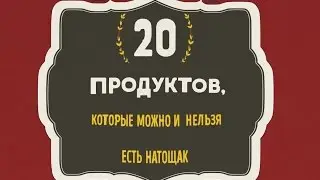 Что нужно и что категорически нельзя есть с утра