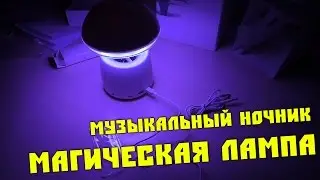 Magic lamp - children's musical night light!