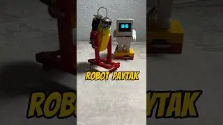 Robot Paytak 