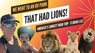 COOLEST RV PARK IN FLORIDA (THERE WERE LIONS!) - BUSCH GARDENS, ORLANDO - USA'S LONGEST ROAD TRIP