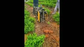 Tea cultivation machine