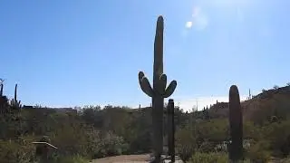 Petroglyphs etc