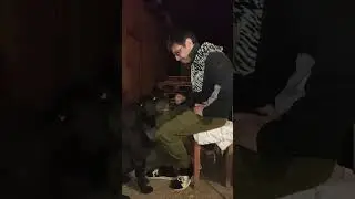 Бум бум #shorts