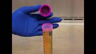 Principles of Aseptic Technique in Mammalian Cell Culture