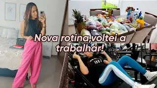 Compras da semana, organização, voltei a trabalhar na nossa empresa!
