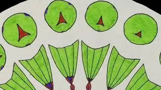 Мульт-фенак_2023 (МультистудиЯ 