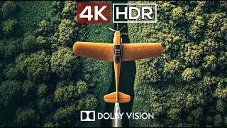 FLYING AS A BIRD: 4K HDR 60 FPS DOLBY VISION