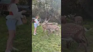 Выбрались за город в Арт усадьбу Веретьево