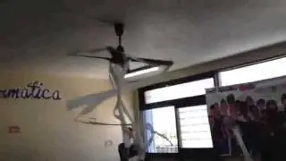 Papel al ventilador jajaj