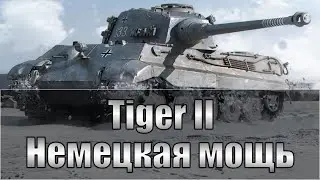 Tiger II - ПРОКАЧКА ВЕТКИ Е-100 | Аккаунт Без Доната (3900\16)