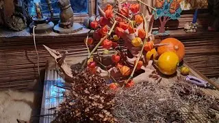 Контрольное взвешивание в Совином Доле, поющий ручей и зимний букет