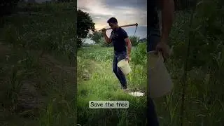 Save the tree 🌴 save the earth 🌎 #rajatfauji #tree #earth #status #foryour #village #viralvideo