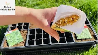 Fastest Way To Start Seeds Indoors | Starting Germination For Your Garden