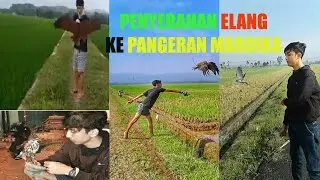 PENYERAHAN BURUNG ELANG UNTUK PANGERAN MARDIKA