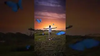 Butterflies with the sunset view | manjesh vfx #vfxshorts #shorts
