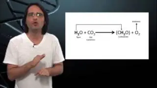 Biologia: Fotossíntese