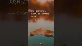 "O'nun bilgisi dışında dalından bir yaprak bile düşmez."nam, 59. ayet