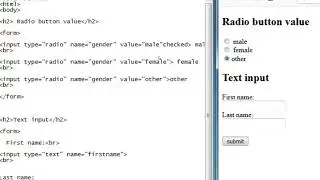 html form input type submit button, action, target attribute in telugu notepad lesson: 21 (part-5)
