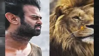SALAAR Theatrical Trailer | Prabhas | Shruti | Prashanth Neel | Prithviraj Sukumaran | SalaarTheSaga