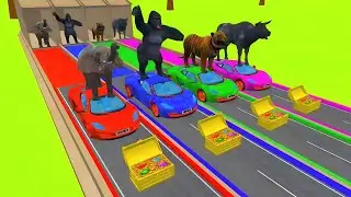 Paint Animals And Car | Gorilla Elephant Cow Tiger Buffalo | fountain crossing animal transformation